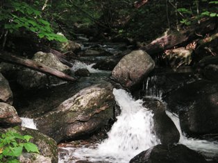 Bromley Brook